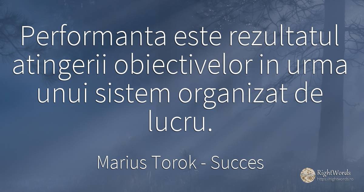 Performanta este rezultatul atingerii obiectivelor in... - Marius Torok (Darius Domcea), citat despre succes