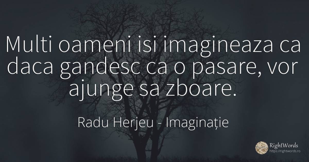 Multi oameni isi imagineaza ca daca gandesc ca o pasare, ... - Radu Herjeu, citat despre imaginație, oameni