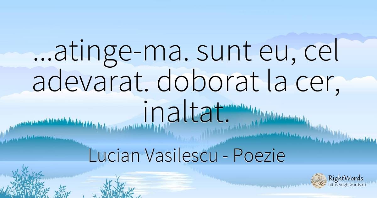 ...atinge-ma. sunt eu, cel adevarat. doborat la cer, ... - Lucian Vasilescu, citat despre poezie, cer, adevăr