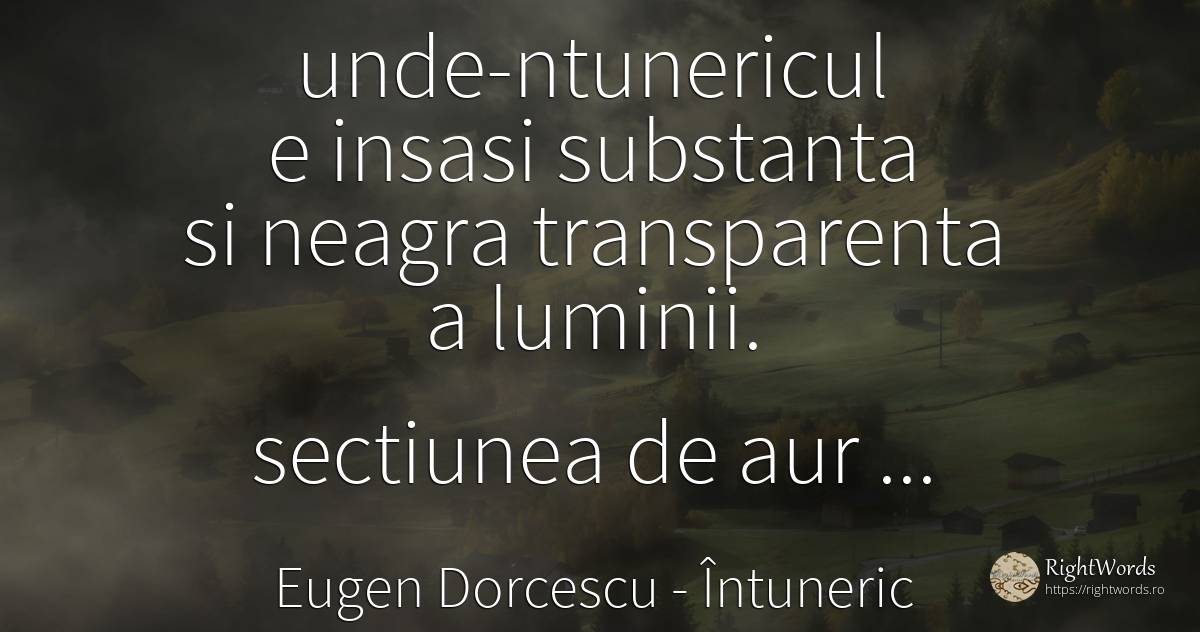 unde-ntunericul e insasi substanta si neagra transparenta... - Eugen Dorcescu, citat despre întuneric, moarte