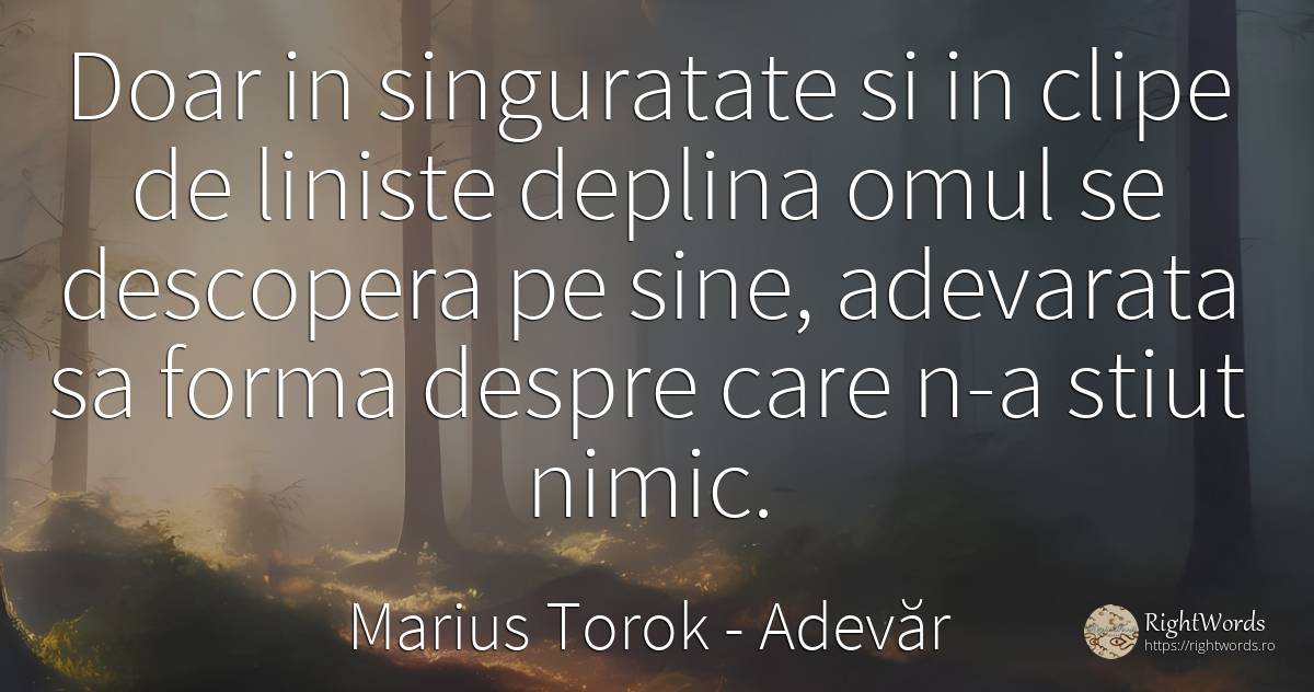 Doar in singuratate si in clipe de liniste deplina omul... - Marius Torok (Darius Domcea), citat despre adevăr, liniște, singurătate, oameni, nimic