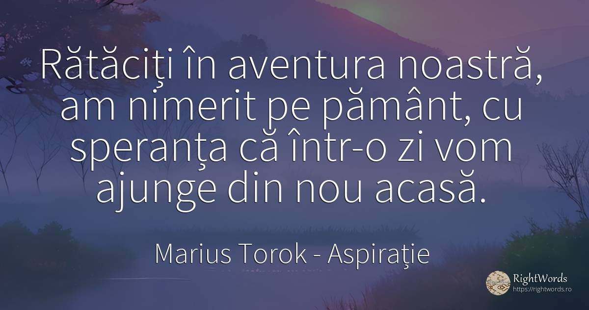 Rătăciți în aventura noastră, am nimerit pe pământ, cu... - Marius Torok (Darius Domcea), citat despre aspirație, aventură, acasă, speranță, pământ