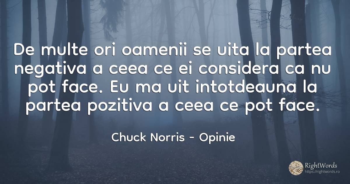 De multe ori oamenii se uita la partea negativa a ceea ce... - Chuck Norris, citat despre opinie, uitare, oameni