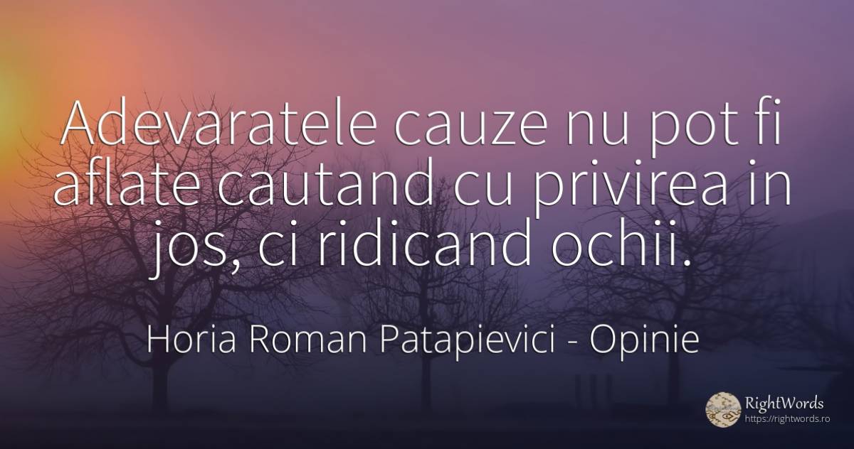 Adevaratele cauze nu pot fi aflate cautand cu privirea in... - Horia Roman Patapievici, citat despre opinie, zbor, ochi