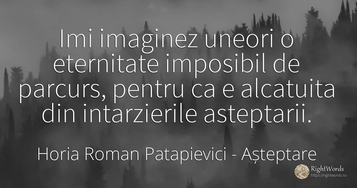 Imi imaginez uneori o eternitate imposibil de parcurs, ... - Horia Roman Patapievici, citat despre așteptare, eternitate, imposibil