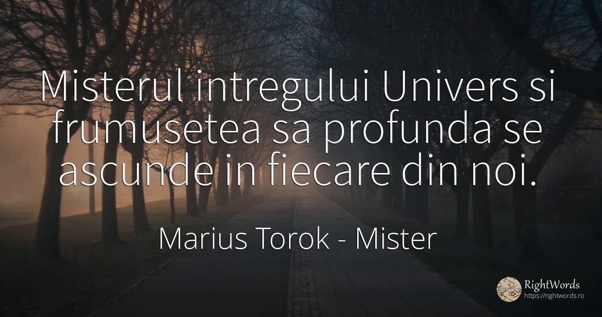 Misterul intregului Univers si frumusetea sa profunda se... - Marius Torok (Darius Domcea), citat despre mister, univers, frumusețe
