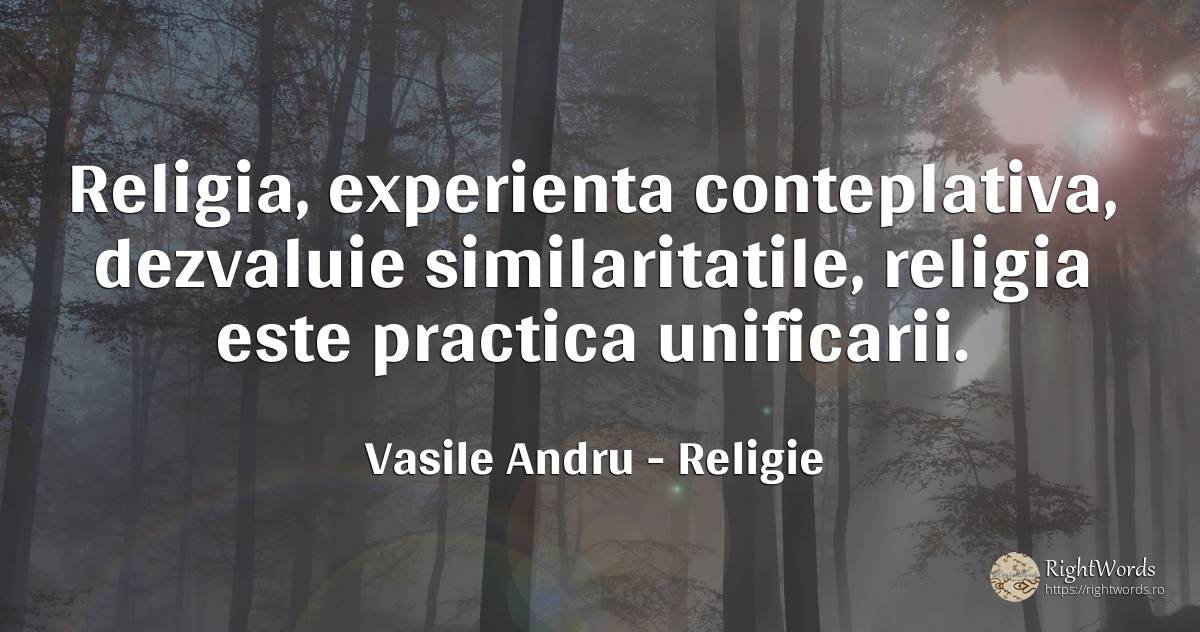 Religia, experienta conteplativa, dezvaluie... - Vasile Andru (Vasile Andrucovici), citat despre religie, experiență