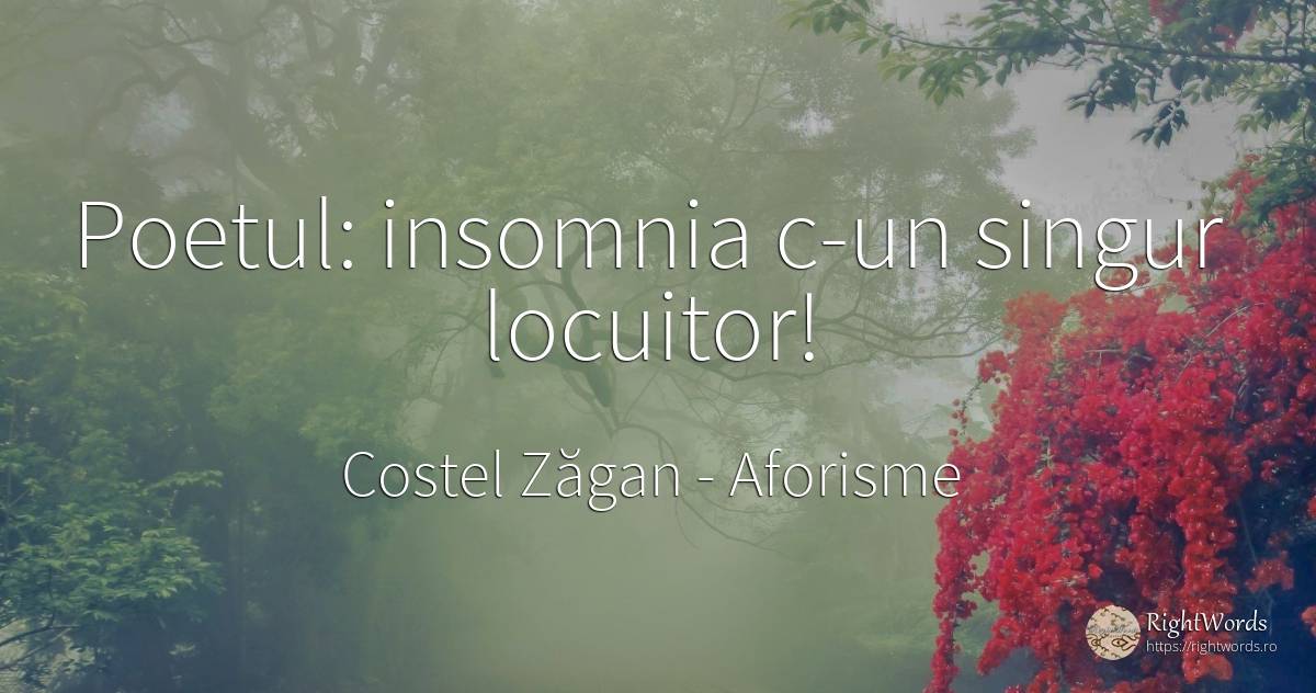Poetul: insomnia c-un singur locuitor! - Costel Zăgan, citat despre aforisme, singurătate