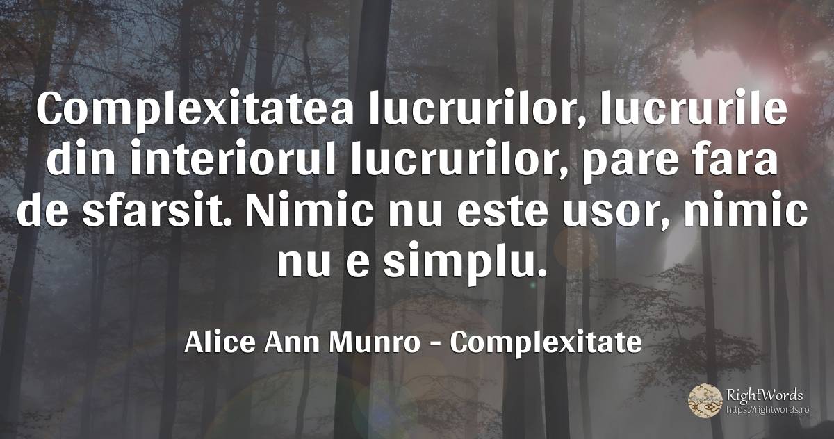 Complexitatea lucrurilor, lucrurile din interiorul... - Alice Ann Munro, citat despre complexitate, sfârșit, simplitate, nimic