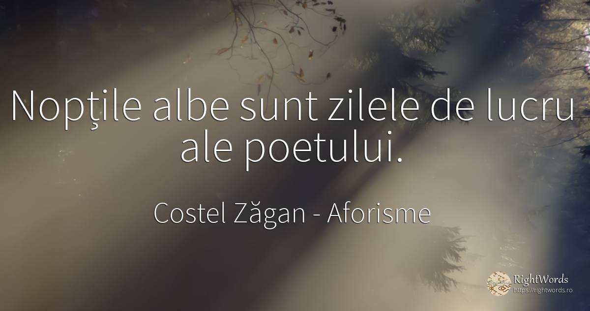 Nopțile albe sunt zilele de lucru ale poetului. - Costel Zăgan, citat despre aforisme, noapte, zi