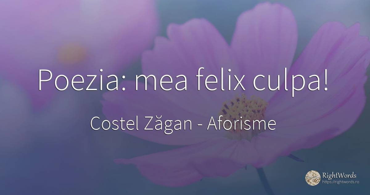 Poezia: mea felix culpa! - Costel Zăgan, citat despre aforisme, poezie, zi de naștere