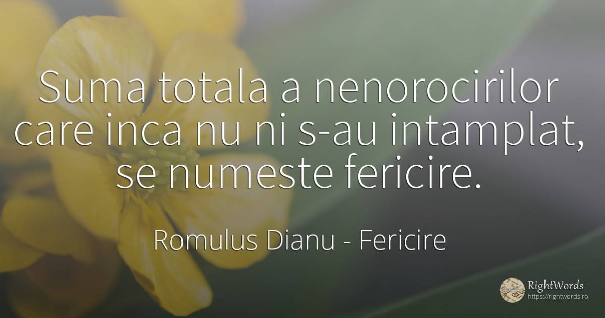 Suma totala a nenorocirilor care inca nu ni s-au... - Romulus Dianu (Romulus Dima), citat despre fericire