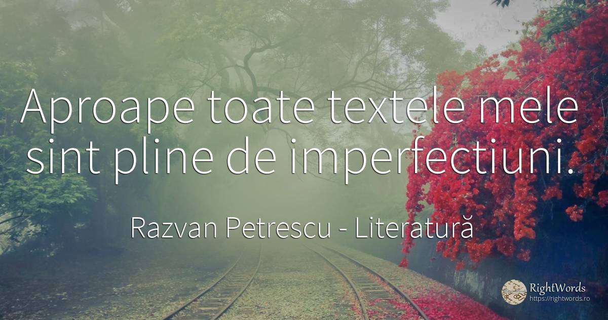 Aproape toate textele mele sint pline de imperfectiuni. - Razvan Petrescu, citat despre literatură, imperfecțiuni umane