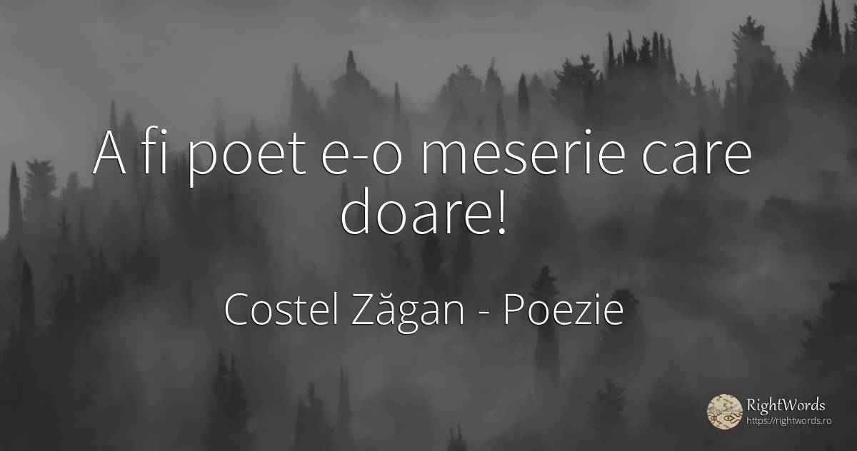 A fi poet e-o meserie care doare! - Costel Zăgan, citat despre poezie, poeți
