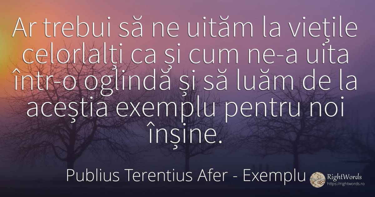 Ar trebui să ne uităm la viețile celorlalți ca și cum... - Publius Terentius Afer, citat despre exemplu, viață, uitare