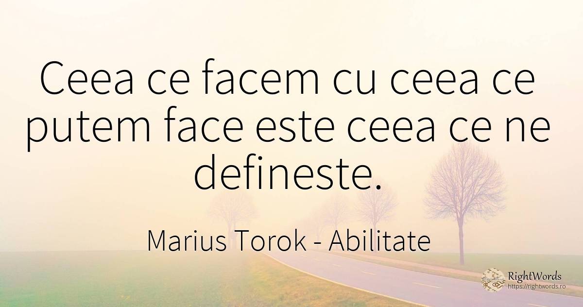Ceea ce facem cu ceea ce putem face este ceea ce ne... - Marius Torok (Darius Domcea), citat despre abilitate