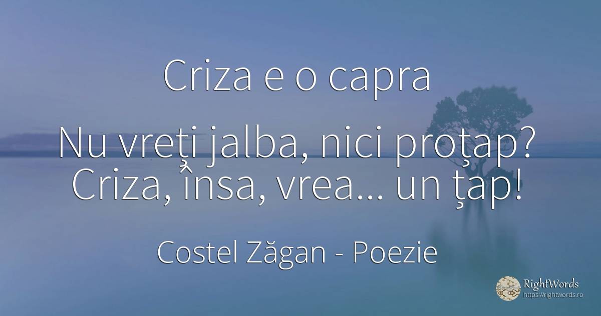 Criza e o capra - Costel Zăgan, citat despre poezie