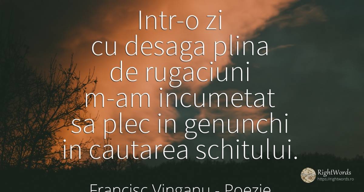 Intr-o zi cu desaga plina de rugaciuni m-am incumetat sa... - Francisc Vinganu (Francisc Meghes), citat despre poezie, căutare