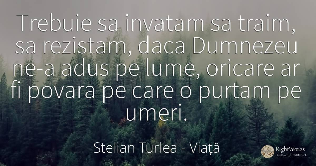 Trebuie sa invatam sa traim, sa rezistam, daca Dumnezeu... - Stelian Turlea, citat despre viață, povară, lume, dumnezeu