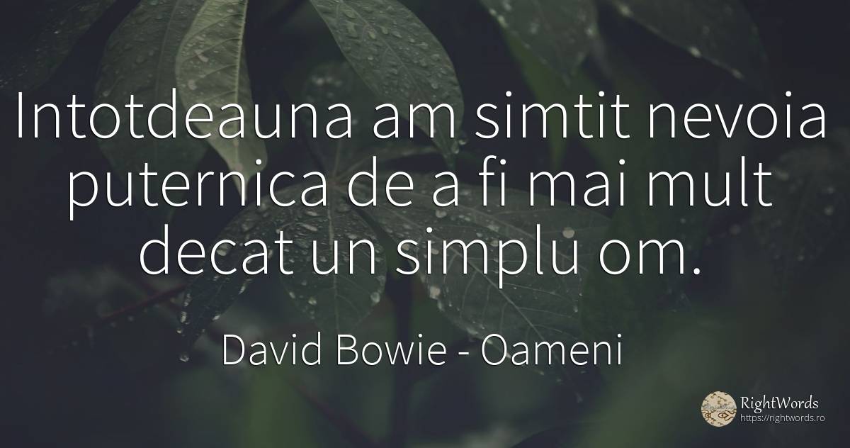 Intotdeauna am simtit nevoia puternica de a fi mai mult... - David Bowie (David Robert Jones), citat despre oameni, bunul simț, simț, nevoie, simplitate