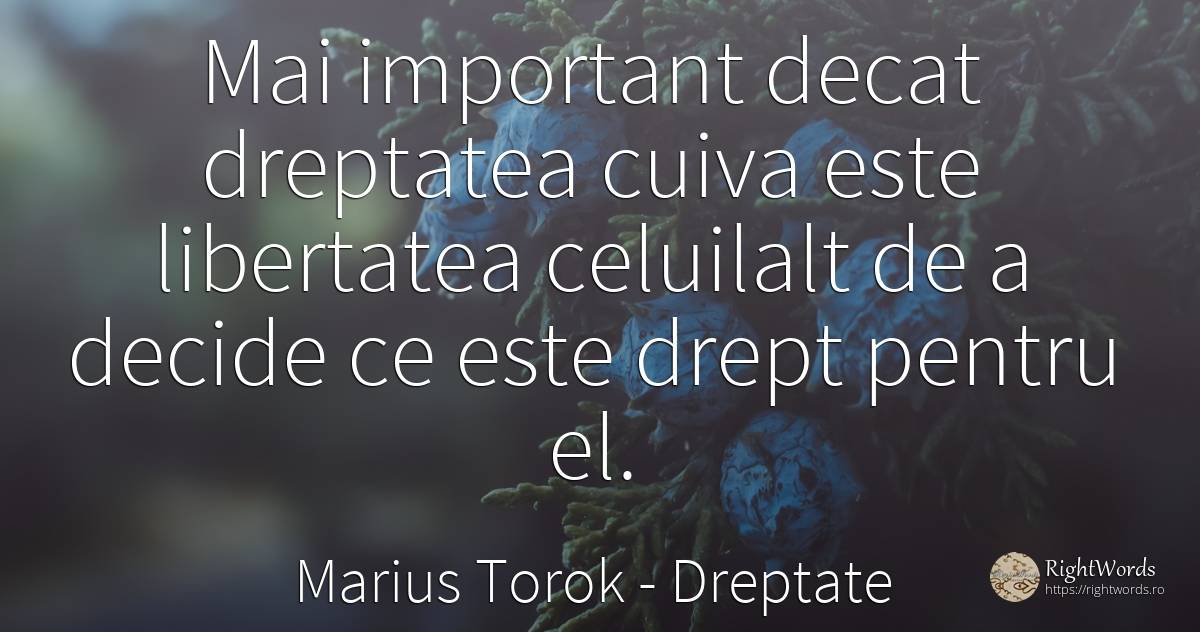 Mai important decat dreptatea cuiva este libertatea... - Marius Torok (Darius Domcea), citat despre dreptate, libertate