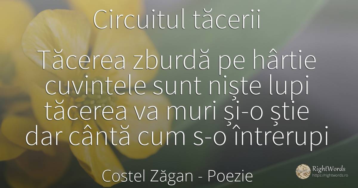 Circuitul tăcerii - Costel Zăgan, citat despre poezie, tăcere, moarte, cuvânt