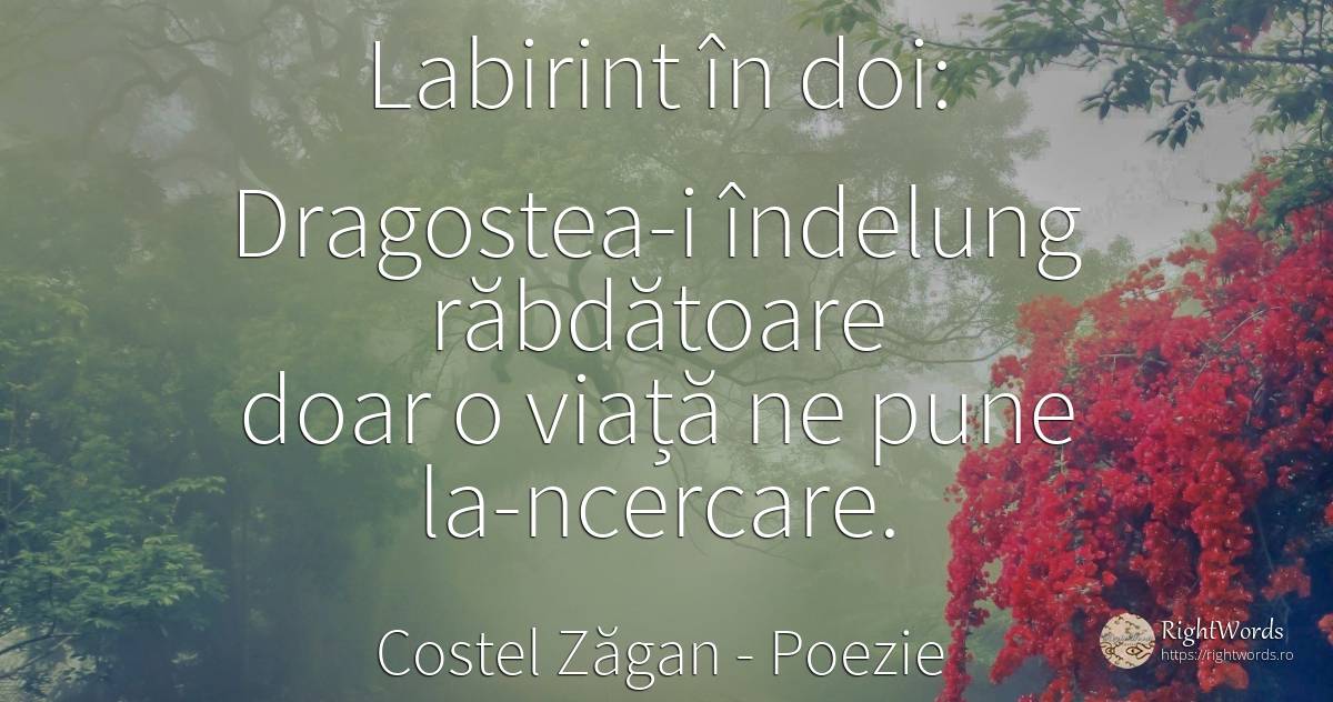 Labirint in doi - Costel Zăgan, citat despre poezie, iubire, viață