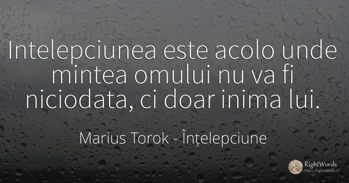 Intelepciunea este acolo unde mintea omului nu va fi... - Marius Torok (Darius Domcea), citat despre înțelepciune, minte, inimă