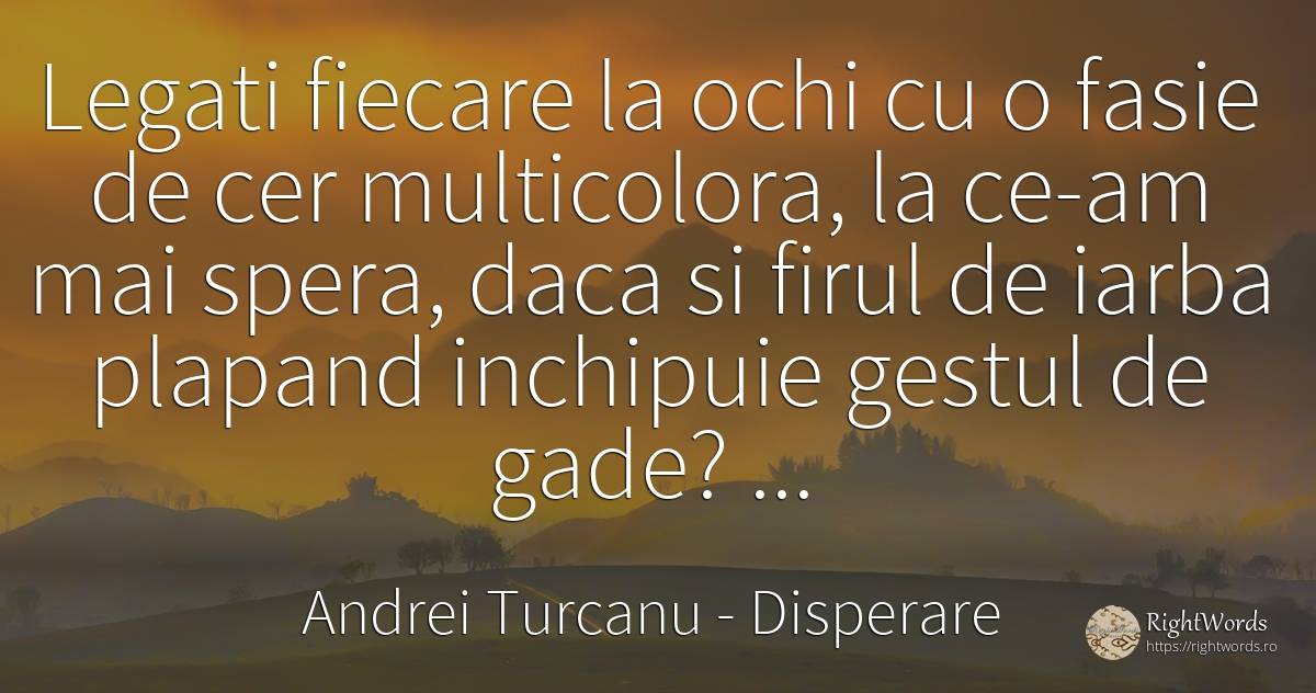 Legati fiecare la ochi cu o fasie de cer multicolora, la... - Andrei Turcanu, citat despre disperare, ochi, cer