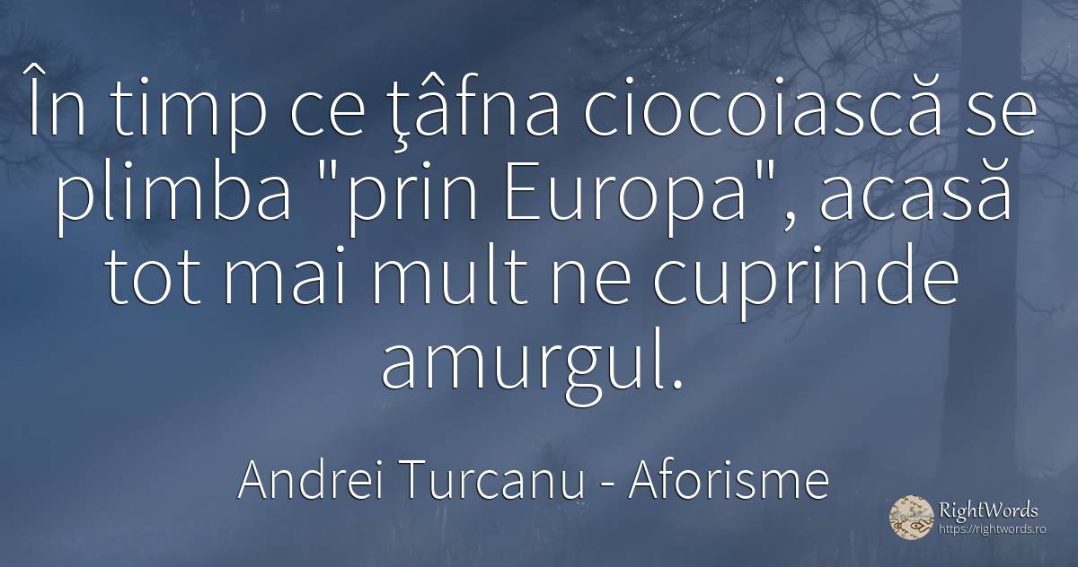 În timp ce ţâfna ciocoiască se plimba prin Europa, ... - Andrei Turcanu, citat despre aforisme, acasă, timp