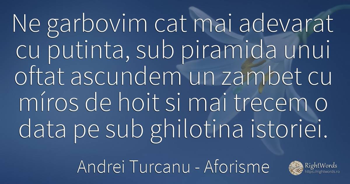 Ne garbovim cat mai adevarat cu putinta, sub piramida... - Andrei Turcanu, citat despre aforisme, zâmbet, adevăr