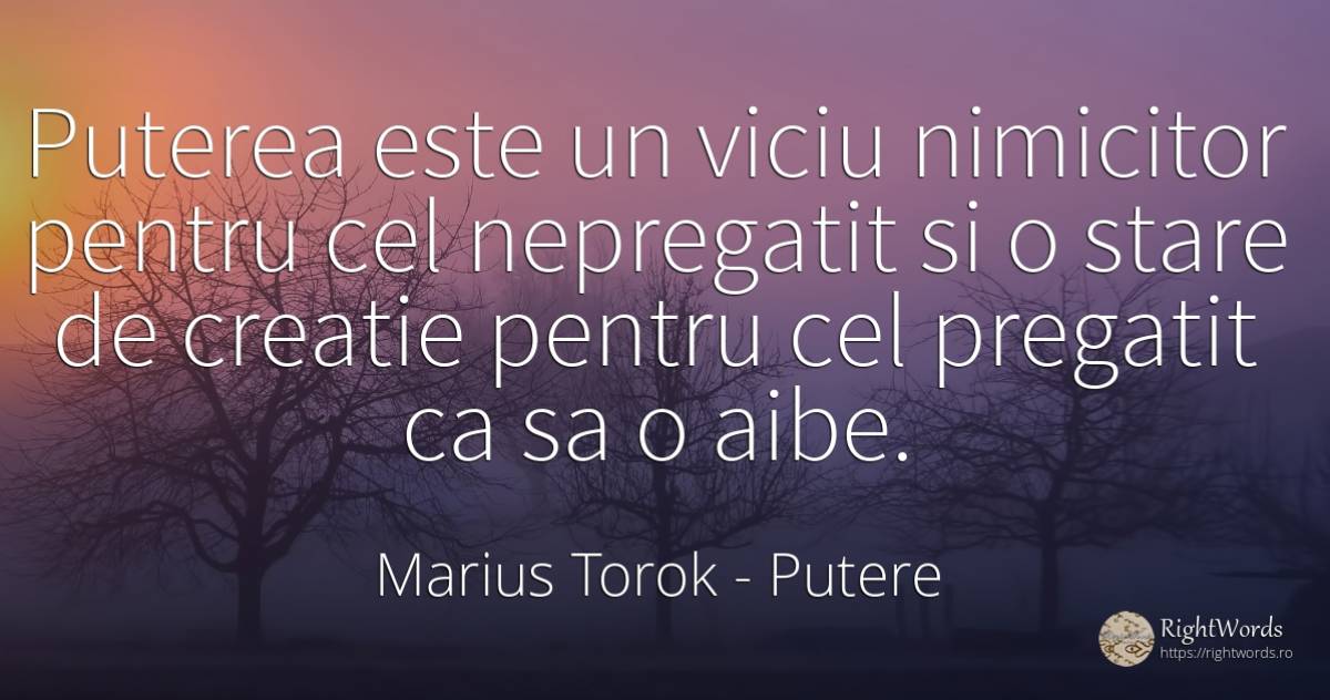 Puterea este un viciu nimicitor pentru cel nepregatit si... - Marius Torok (Darius Domcea), citat despre putere, viciu, creație