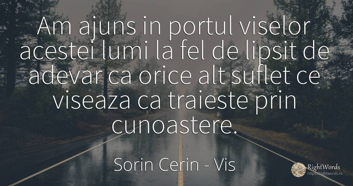 Am ajuns in portul viselor acestei lumi la fel de lipsit... - Sorin Cerin, citat despre vis, cunoaștere, înțelepciune, adevăr, suflet
