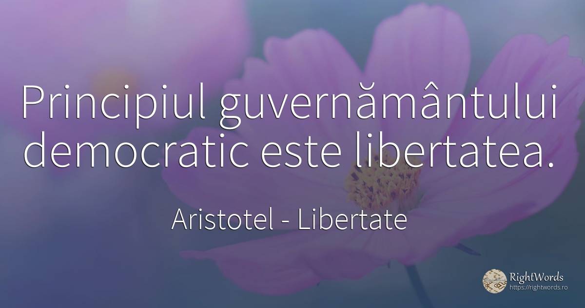 Principiul guvernământului democratic este libertatea. - Aristotel, citat despre libertate, principiu, politică