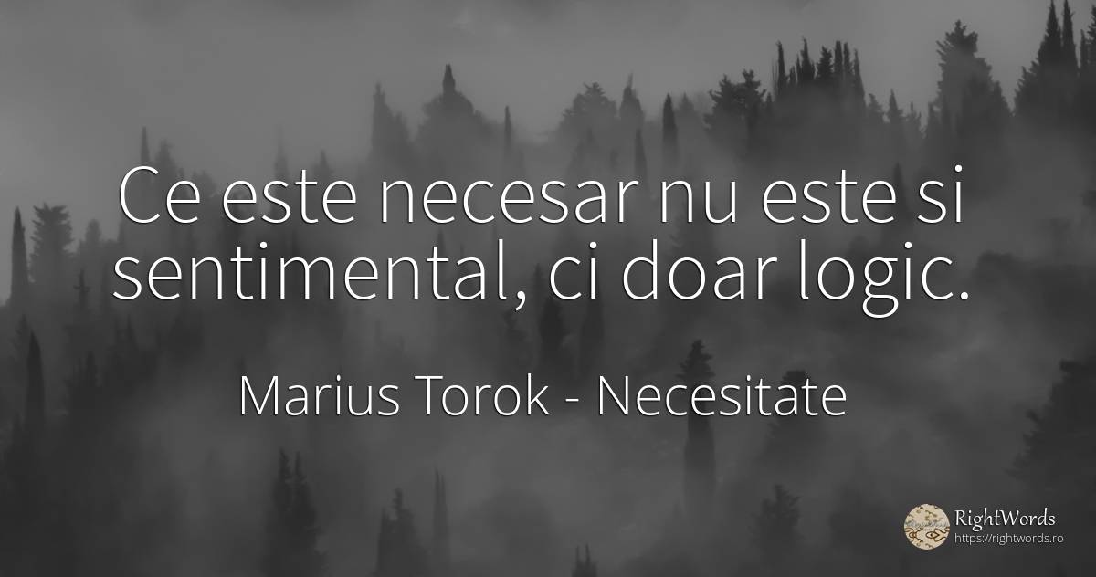 Ce este necesar nu este si sentimental, ci doar logic. - Marius Torok (Darius Domcea), citat despre necesitate, logică
