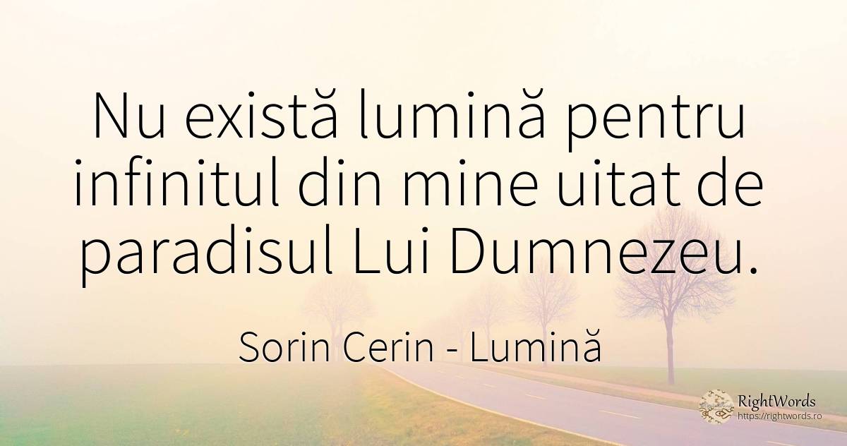 Nu există lumină pentru infinitul din mine uitat de... - Sorin Cerin, citat despre lumină, paradis, infinit, uitare, dumnezeu