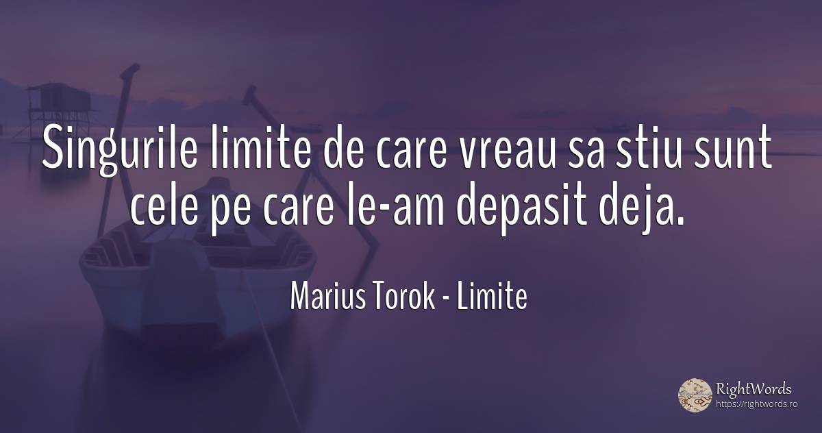 Singurile limite de care vreau sa stiu sunt cele pe care... - Marius Torok (Darius Domcea), citat despre limite