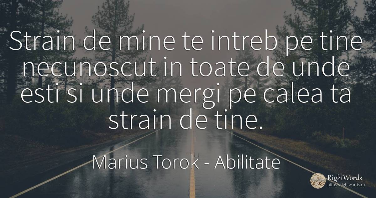 Strain de mine te intreb pe tine necunoscut in toate de... - Marius Torok (Darius Domcea), citat despre abilitate
