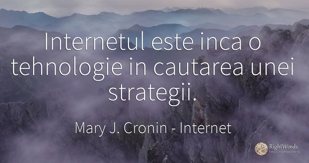 Internetul este inca o tehnologie in cautarea unei... - Mary J. Cronin, citat despre internet, tehnologie, căutare