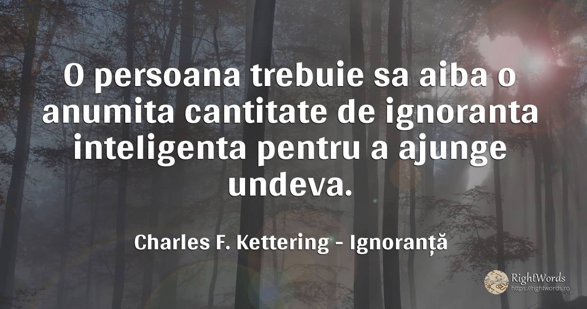 O persoana trebuie sa aiba o anumita cantitate de... - Charles F. Kettering, citat despre ignoranță, inteligență