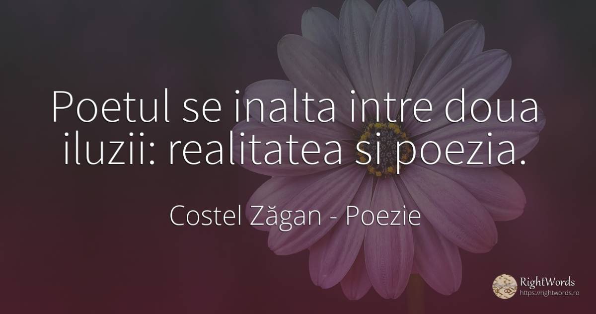 Poetul se inalta intre doua iluzii: realitatea si poezia. - Costel Zăgan, citat despre poezie, realitate