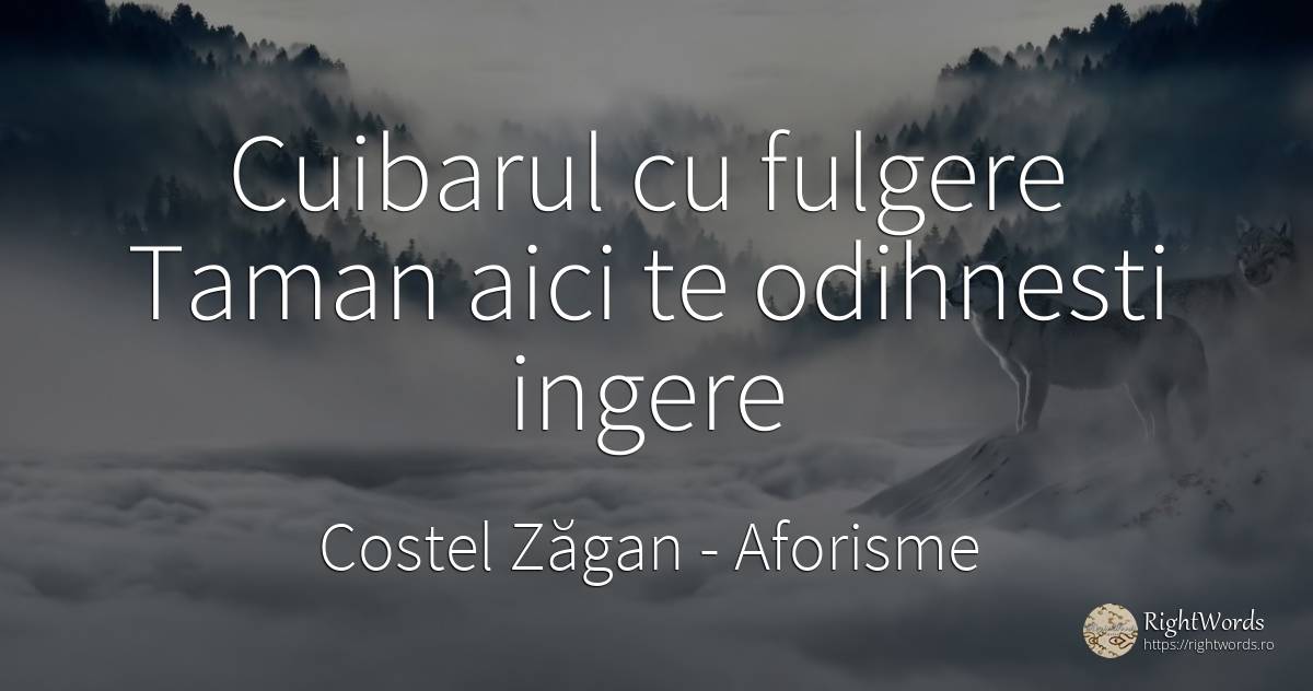 Cuibarul cu fulgere Taman aici te odihnesti ingere - Costel Zăgan, citat despre aforisme