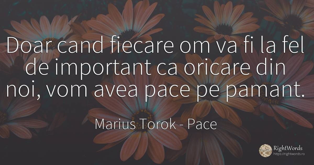 Doar cand fiecare om va fi la fel de important ca oricare... - Marius Torok (Darius Domcea), citat despre pace, pământ
