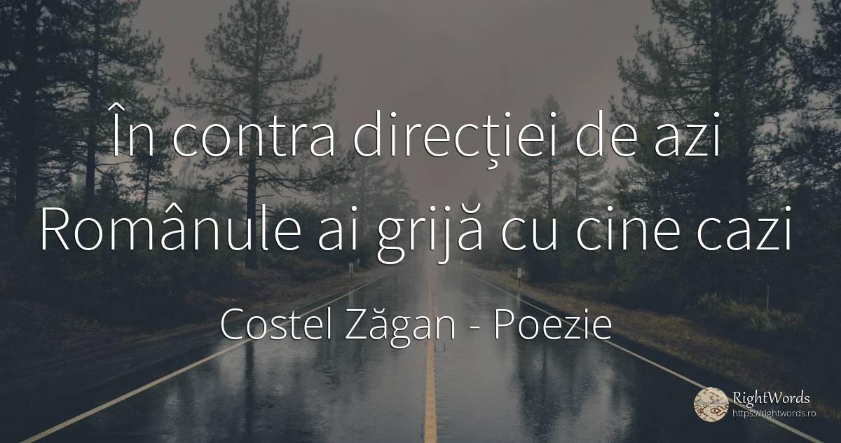 În contra direcției de azi Românule ai grijă cu cine cazi - Costel Zăgan, citat despre poezie, îngrijorare