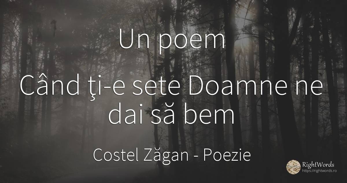 Un poem Când ţi-e sete Doamne ne dai să bem - Costel Zăgan, citat despre poezie