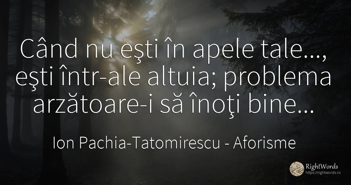 Când nu eşti în apele tale..., eşti într-ale altuia;... - Ion Pachia-Tatomirescu, citat despre aforisme, apă, probleme, bine