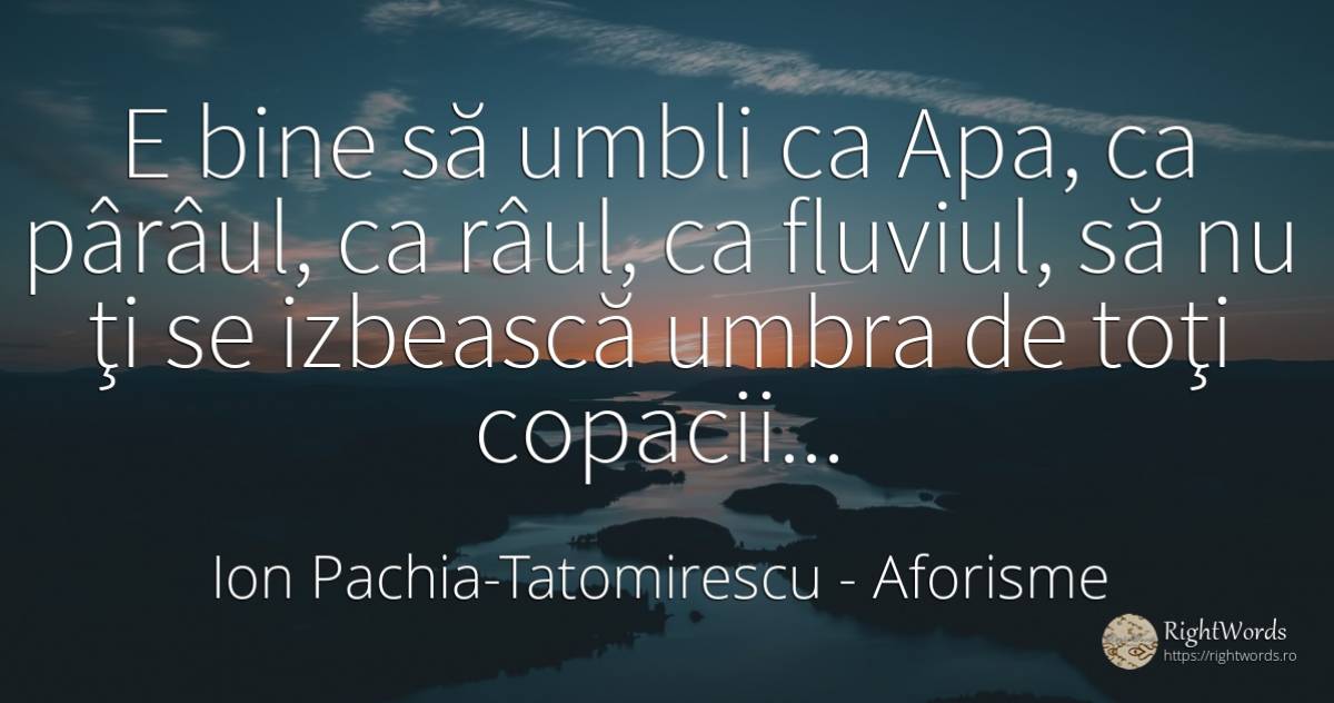 E bine să umbli ca Apa, ca pârâul, ca râul, ca fluviul, ... - Ion Pachia-Tatomirescu, citat despre aforisme, umbră, rău, apă, bine