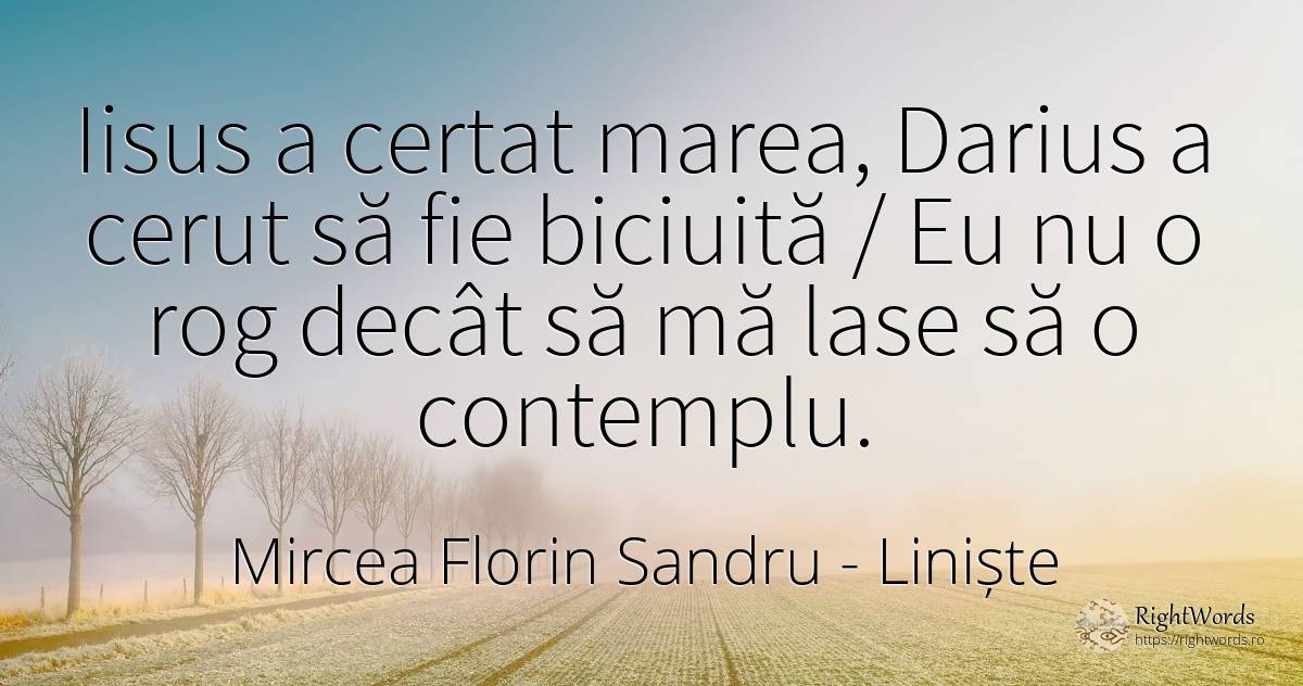Iisus a certat marea, Darius a cerut să fie biciuită / Eu... - Mircea Florin Sandru, citat despre liniște