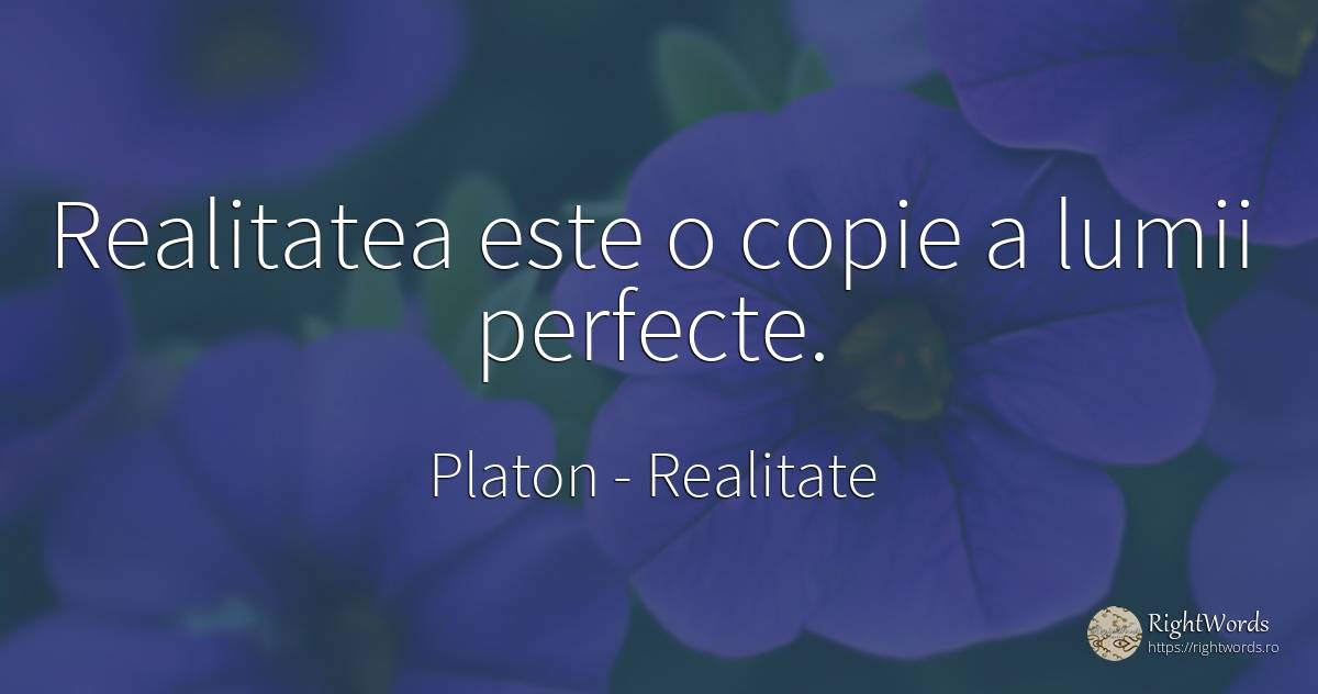 Realitatea este o copie a lumii perfecte. - Platon, citat despre realitate