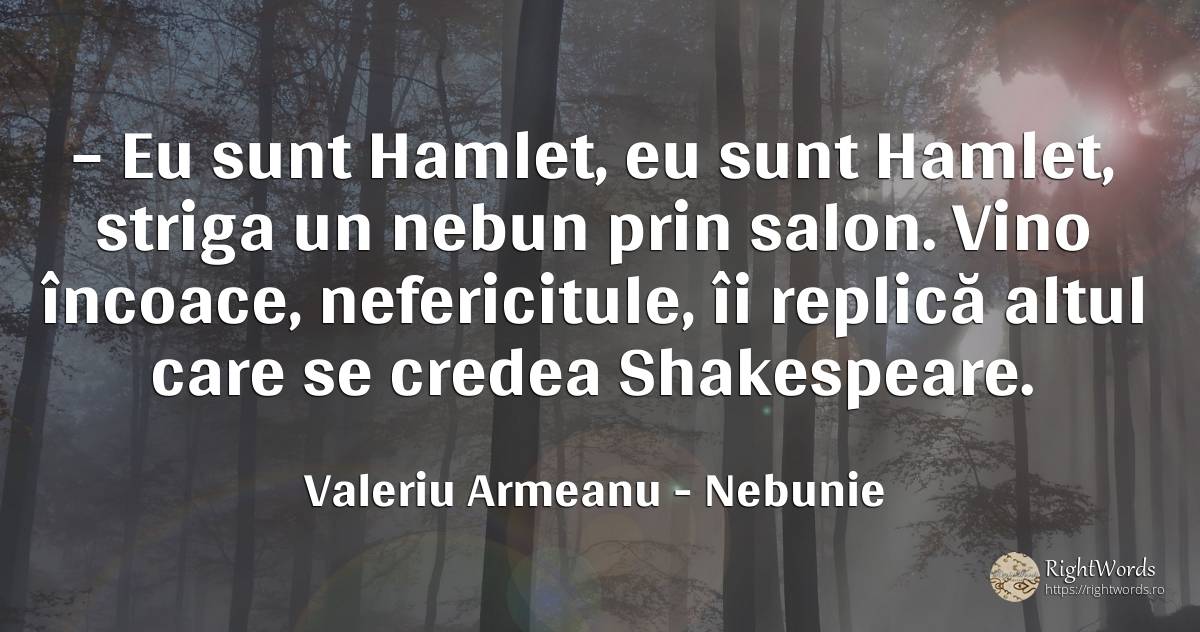 – Eu sunt Hamlet, eu sunt Hamlet, striga un nebun prin... - Valeriu Armeanu, citat despre nebunie